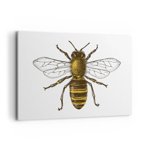 Obraz na płótnie - Szczegółowa ilustracja pszczoły na białym tle - 100x70cm - Piękna i dobra - Nowoczesna dekoracja ścienna do salonu, kuchni i sypialni ARTTOR