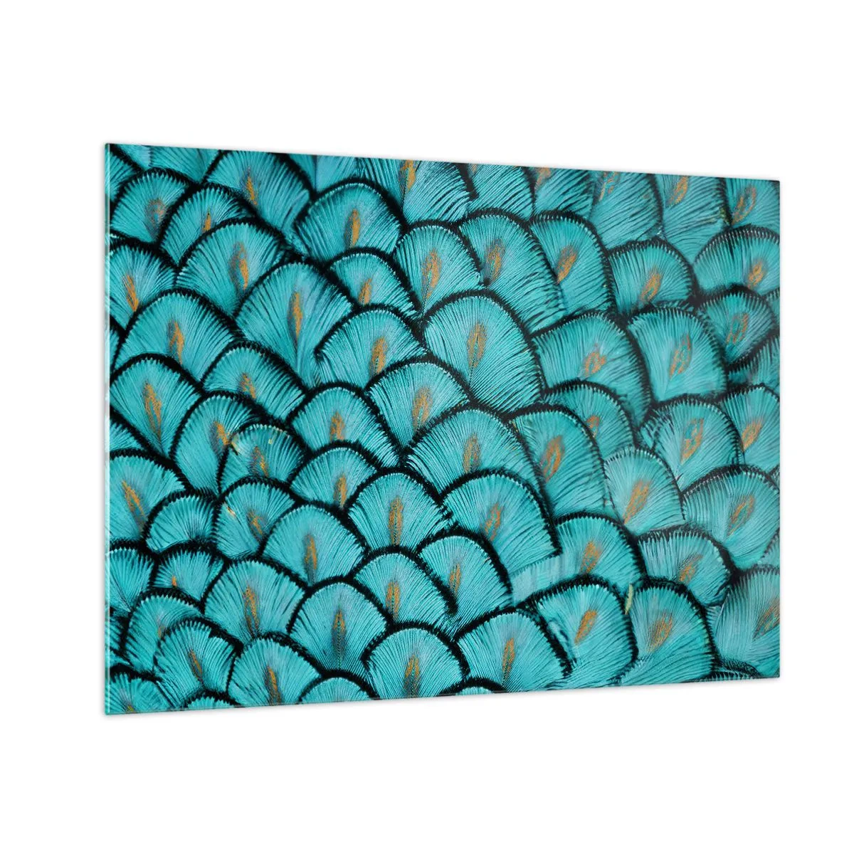 Obraz na szkle - Zbliżenie na turkusowe pawie pióra tworzące dekoracyjny wzór - 70x50cm - Wielka gala piór - Nowoczesna dekoracja ścienna do salonu i sypialni ARTTOR