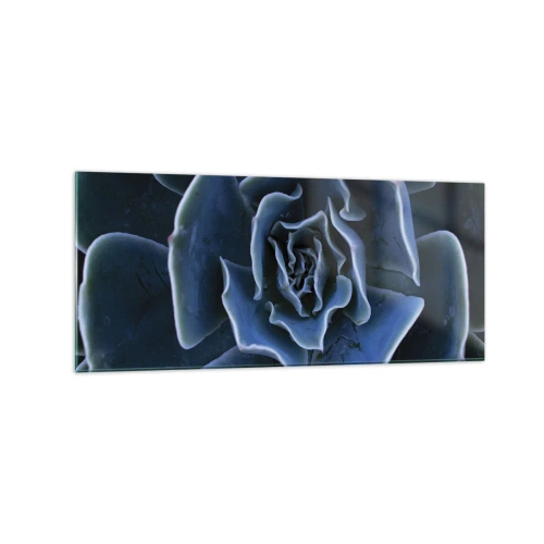 Obraz na szkle - Zbliżenie na rozetę zielonego sukulentu - 120x50cm - Kwiat pustyni - Nowoczesna dekoracja ścienna do salonu i sypialni ARTTOR