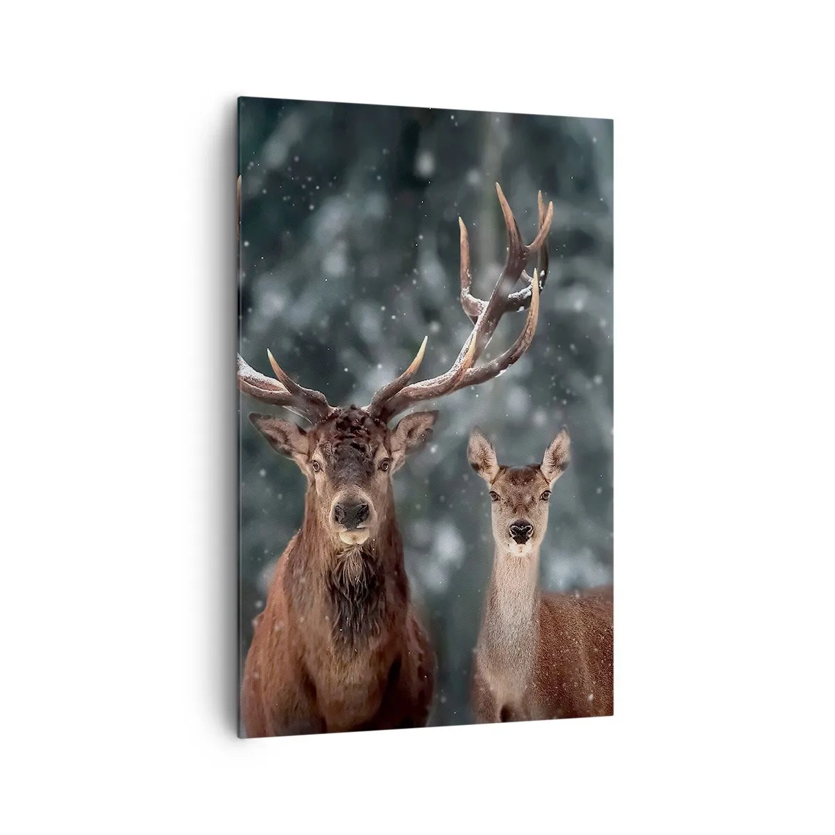 Obraz na płótnie - Jelenie w zimowym lesie pokrytym śniegiem - 80x120cm - Pan lasu z małżonką - Nowoczesna dekoracja ścienna do salonu i sypialni ARTTOR