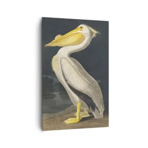 Obraz na płótnie - Pelikan na tle ciemnego krajobrazu - 80x120cm - Pełen dumy - Nowoczesna dekoracja ścienna do salonu i sypialni ARTTOR