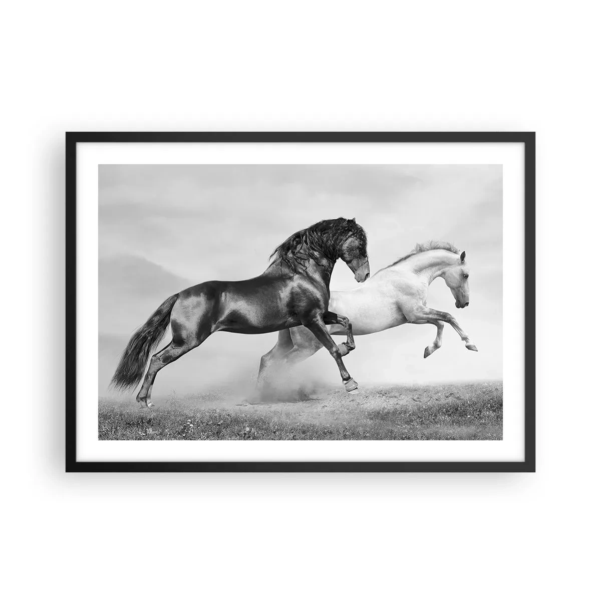 Plakat w czarnej ramie - Dwa konie galopujące w dynamicznej, czarno-białej kompozycji - 70x50cm - Anioły i demony - Nowoczesna dekoracja ścienna do salonu i sypialni ARTTOR