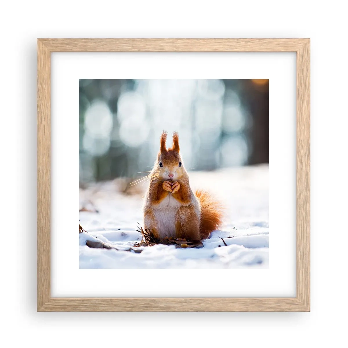 Plakat w ramie jasny dąb - I co tak patrzysz? - 30x30 cm