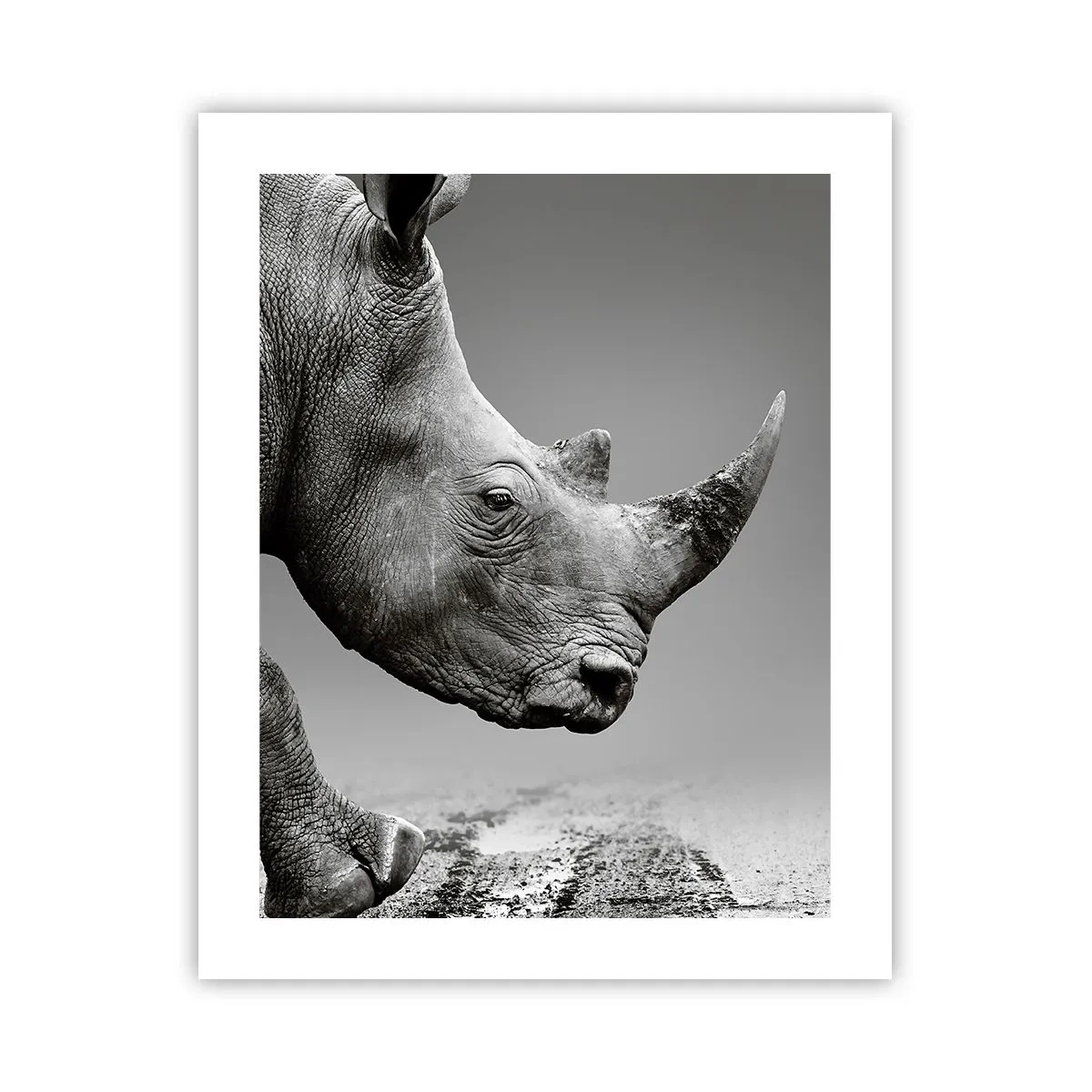 Plakat - Niepowstrzymana siła - 40x50 cm