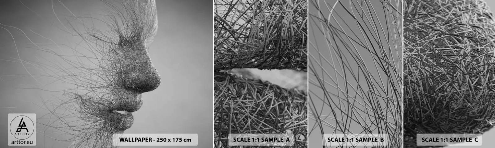 Fototapeta Próbka Samoprzylepna Deluxe Sticker - Duch wiatru - Abstrakcja, Twarz Kobiety, Grafika - 100x30 cm