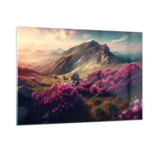 Obraz na szkle - Letni górski krajobraz z kwitnącym różowym wrzosem - 120x80cm - Lato w górach - Nowoczesna dekoracja ścienna do salonu, kuchni i sypialni ARTTOR
