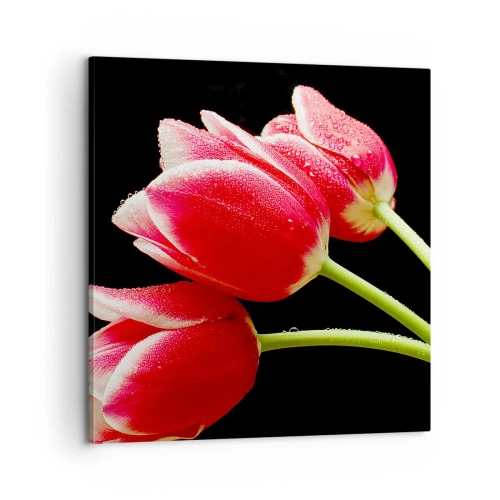 Obraz na płótnie - Obietnica czystej miłości - 60x60 cm