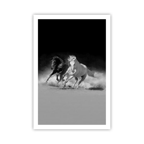 Plakat - Galop wolności - 61x91 cm
