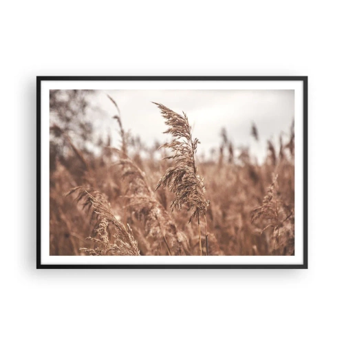 Plakat w czarnej ramie - Złote trawy na tle jesiennej scenerii - 100x70cm - Na polach już jesień - Nowoczesna dekoracja ścienna do salonu i sypialni ARTTOR