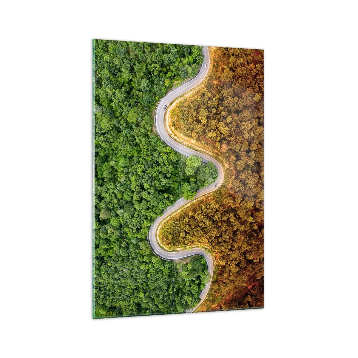 Obraz na szkle - Zakręcona droga przez las widziana z lotu ptaka - 70x100cm - Granice i przełomy - Nowoczesna dekoracja ścienna do salonu i sypialni ARTTOR
