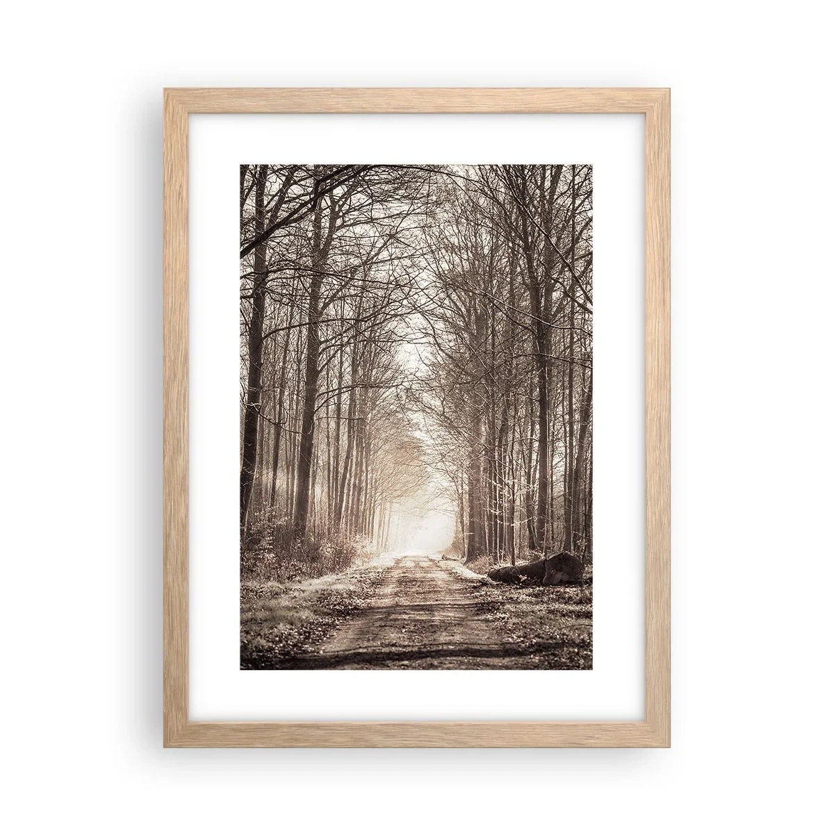 Plakat w ramie jasny dąb - Leśna katedra - 30x40 cm