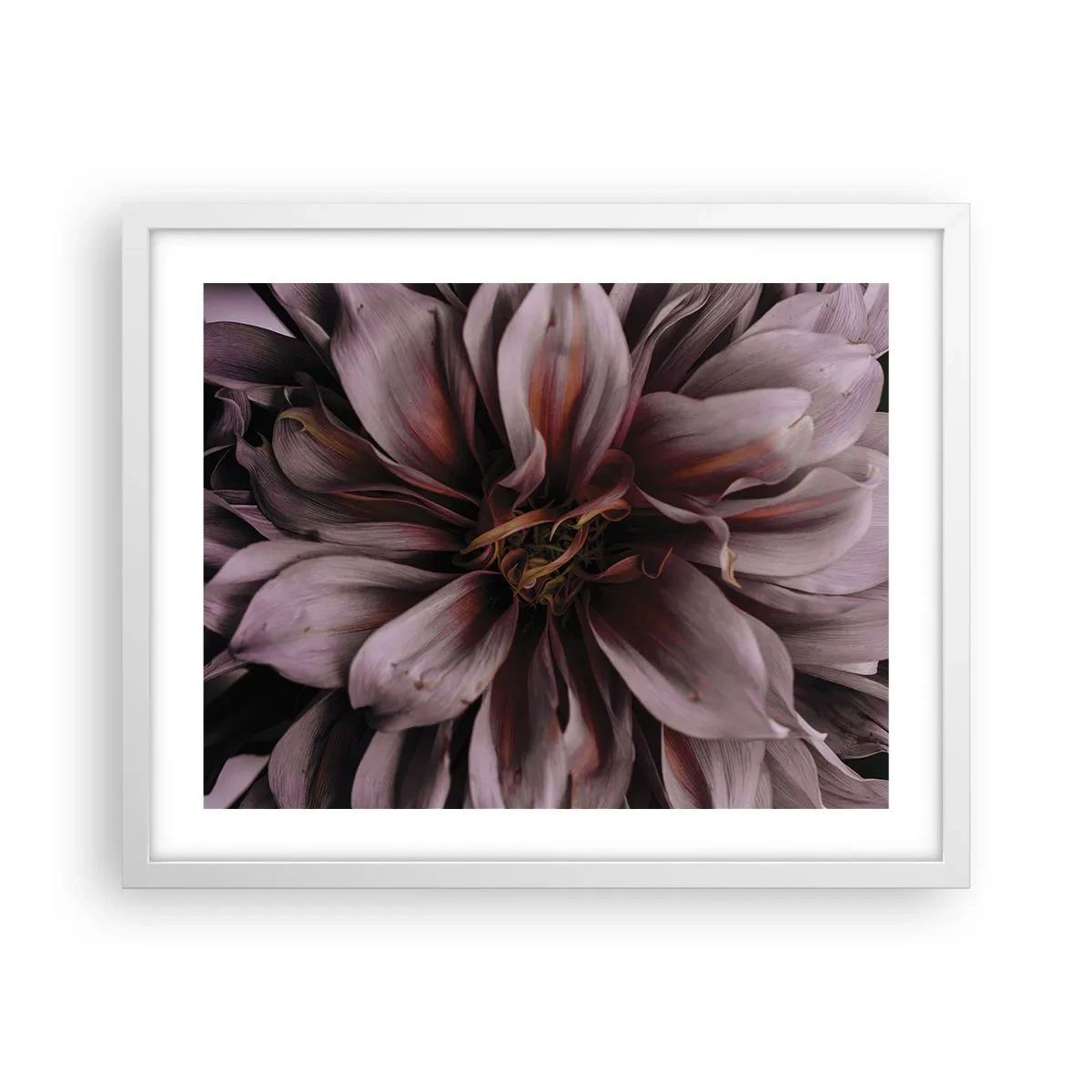 Plakat w białej ramie - Kwietne serce - 50x40 cm