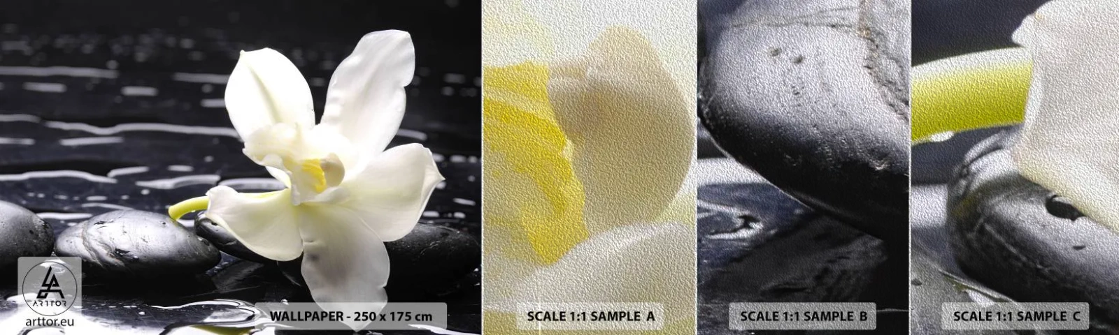 Fototapeta Próbka Premium Sand - Studium w czerni i bieli - Kwiaty, Kamienie, Storczyk - 100x30 cm