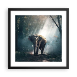 Plakat w czarnej ramie - Spokojna przechadzka - 40x40 cm