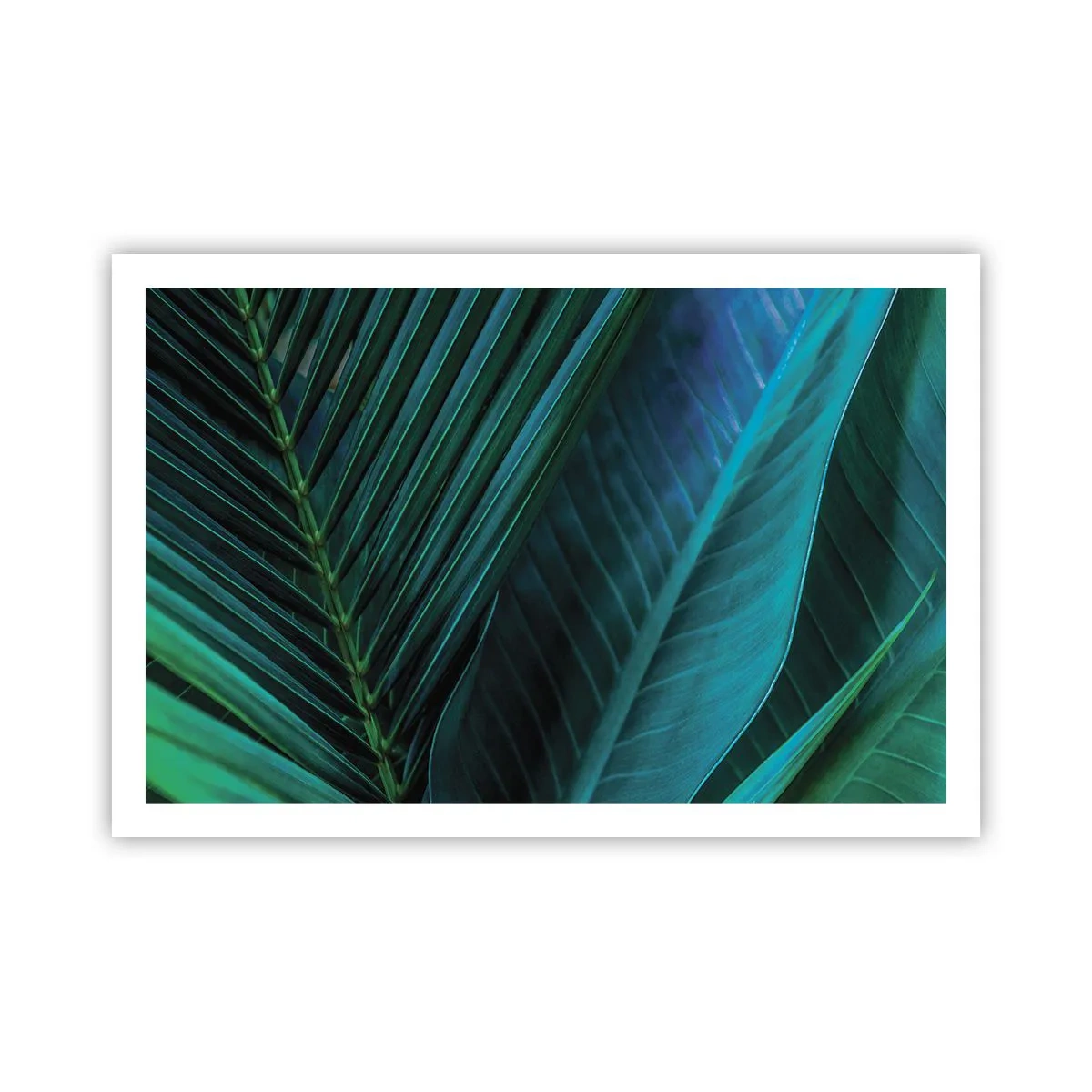 Plakat - Anatomia zieleni - 91x61 cm