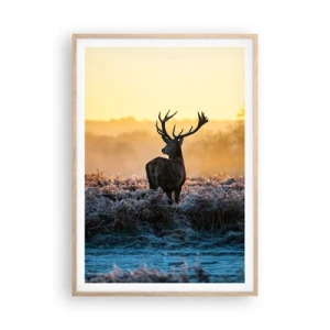 Plakat w ramie jasny dąb - Koronowany na swoich włościach - 70x100 cm