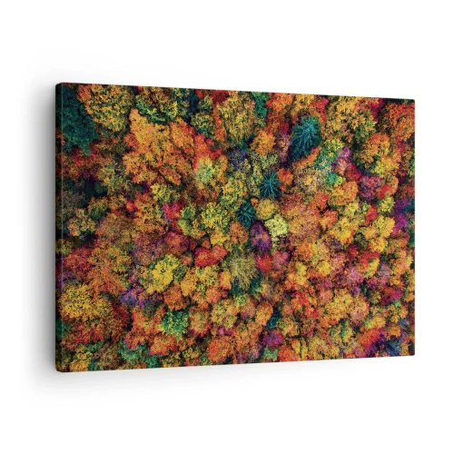 Obraz na płótnie - Kolorowe korony drzew w jesiennej palecie barw - 70x50cm - Bukiet jesiennych drzew - Nowoczesna dekoracja ścienna do salonu i sypialni ARTTOR