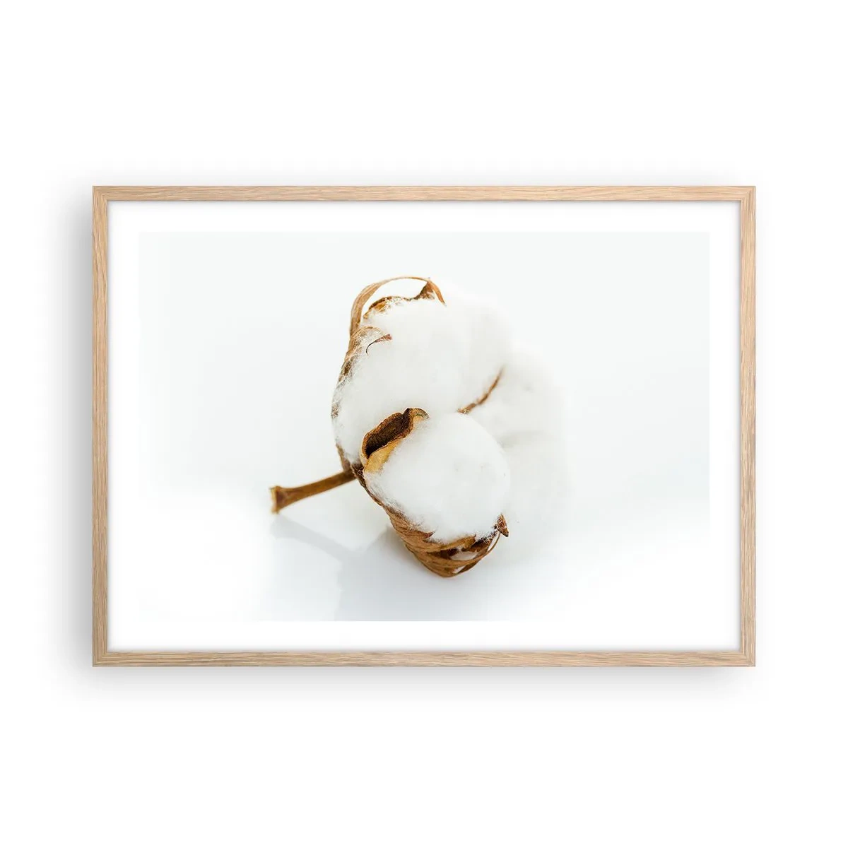 Plakat w ramie jasny dąb - Miękka z natury - 70x50 cm