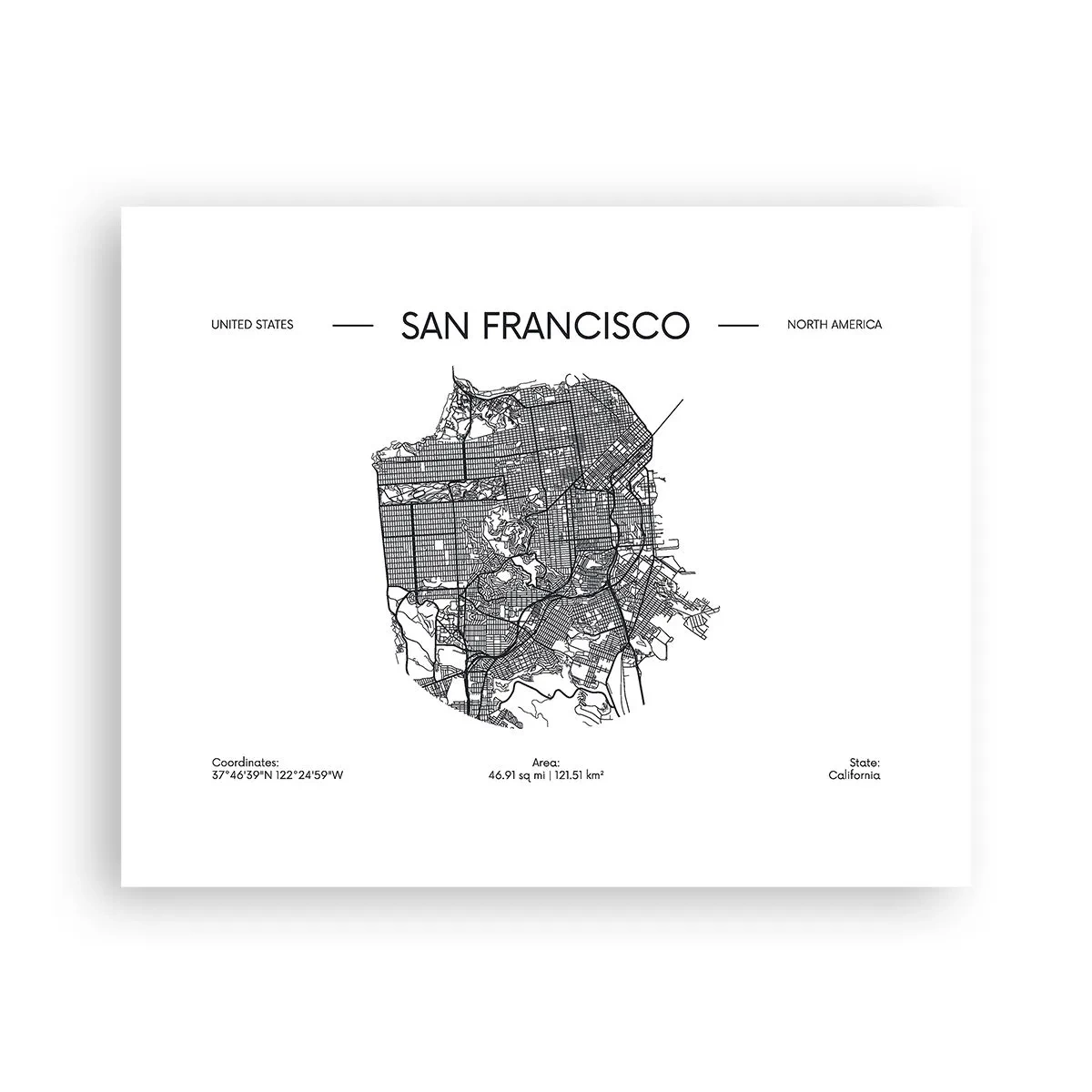 Plakat - Anatomia San Francisco - 50x40 cm