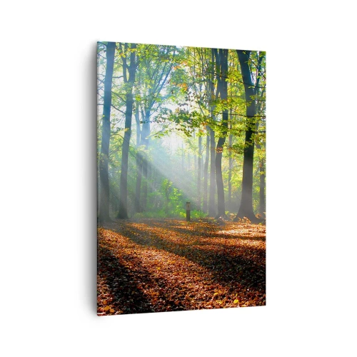 Obraz na płótnie - Leśna polana oświetlona promieniami słońca - 70x100cm - Blaski i cienie - Nowoczesna dekoracja ścienna do salonu i sypialni ARTTOR