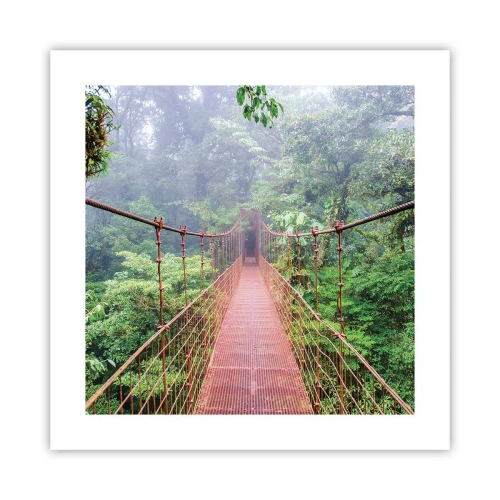 Plakat - Zawieszony nad koronami - 40x40 cm