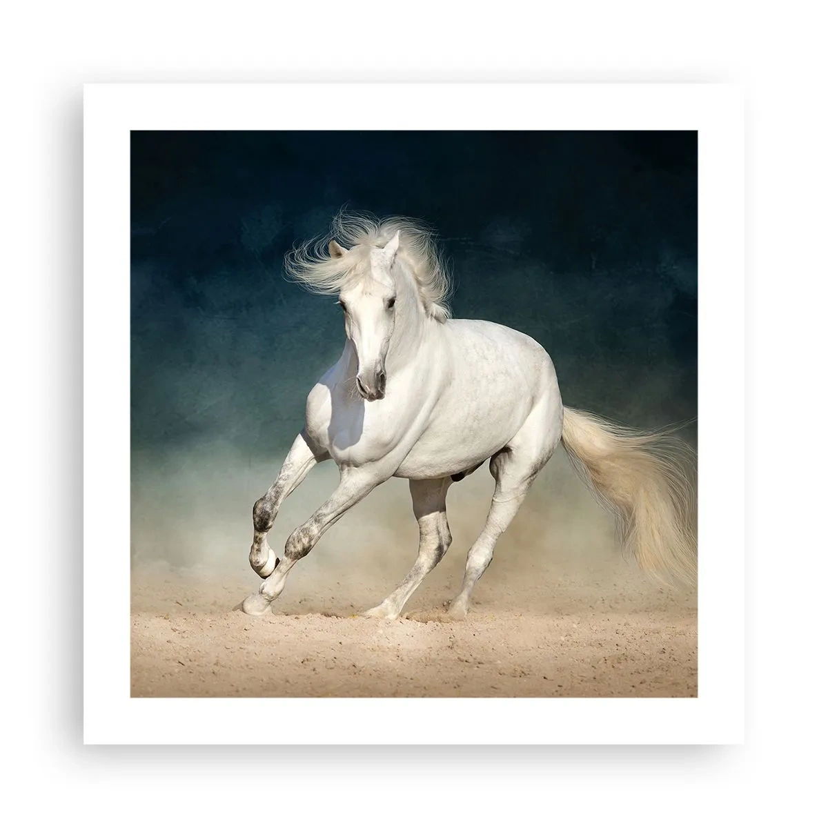 Plakat - Wolność w stanie czystym - 50x50 cm