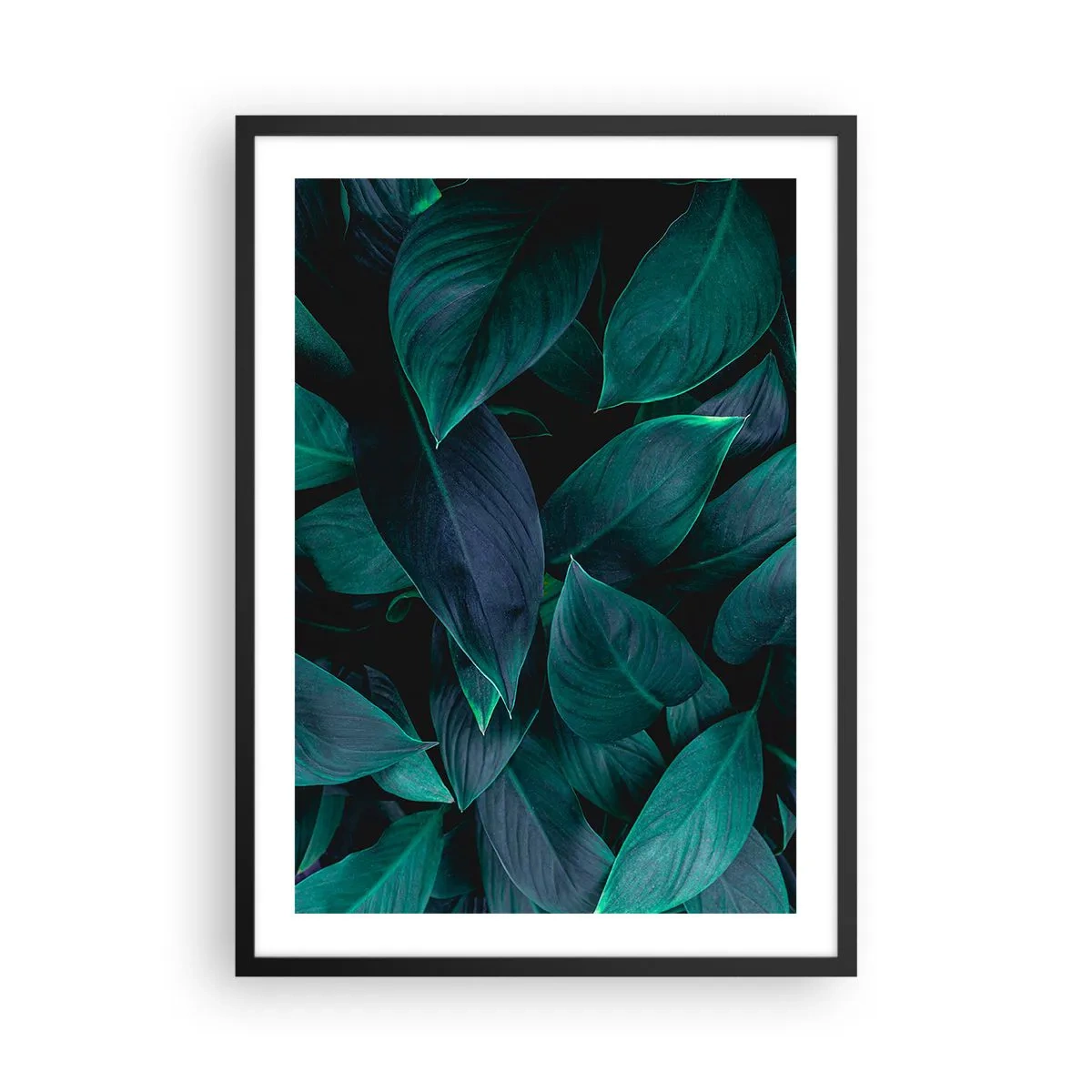 Plakat w czarnej ramie - Ciemnozielone liście z subtelnym podświetleniem - 50x70cm - Zieleń sama w sobie - Nowoczesna dekoracja ścienna do salonu i sypialni ARTTOR