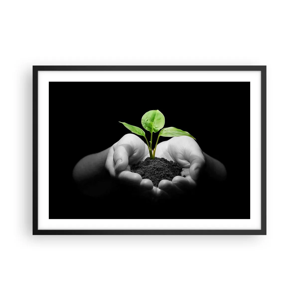 Plakat w czarnej ramie - Dłonie trzymające zieloną roślinę na czarnym tle - 70x50cm - Kocham naturę, chronię ją - Nowoczesna dekoracja ścienna do salonu i sypialni ARTTOR