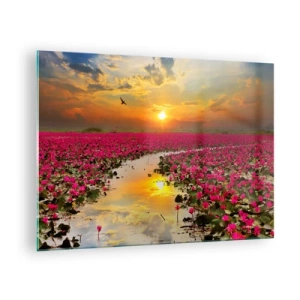 Obraz na szkle - Różowe lilie wodne na jeziorze o zachodzie słońca - 70x50cm - Tajemne życie jeziora - Nowoczesna dekoracja ścienna do salonu i sypialni ARTTOR