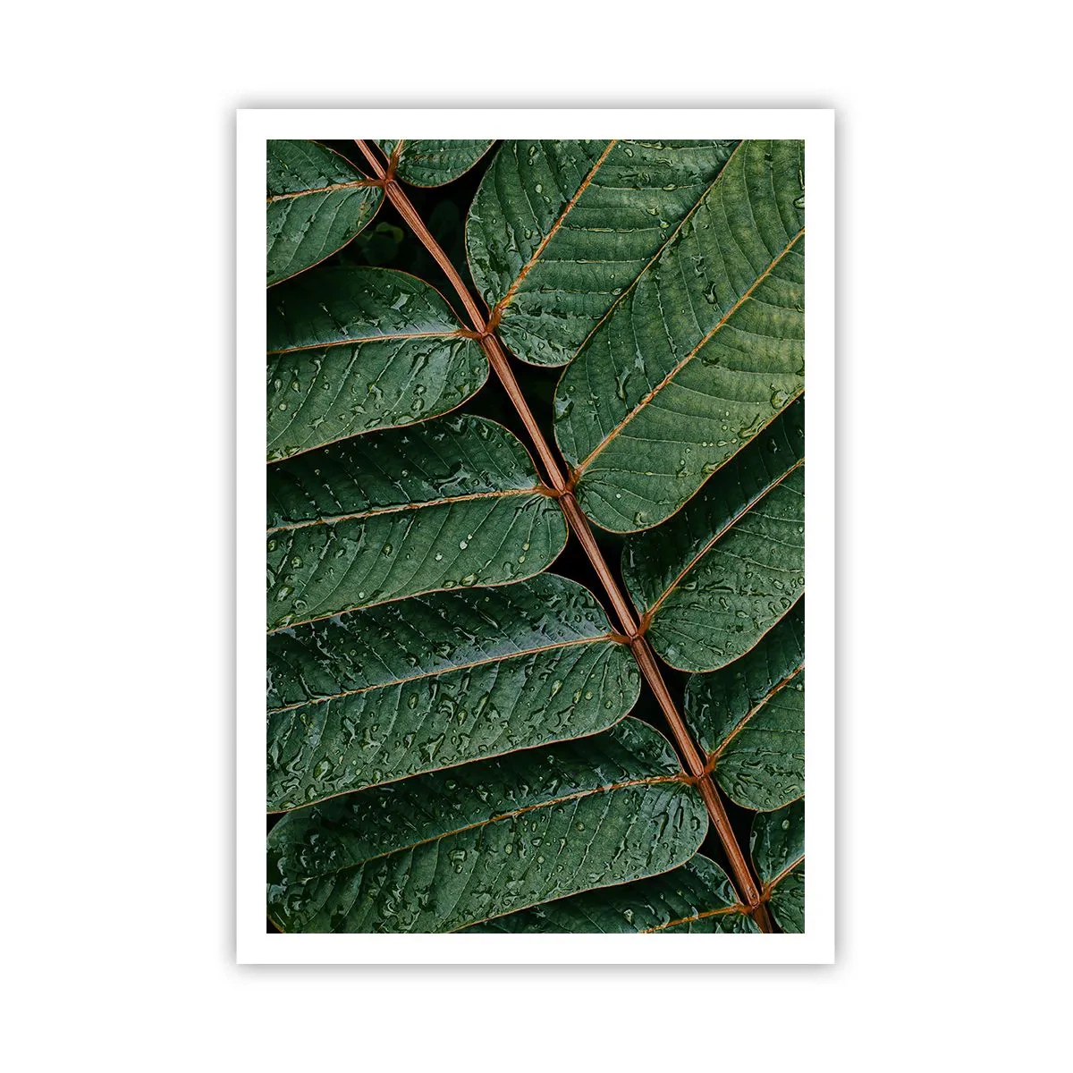 Plakat - W zielonym rytmie - 70x100 cm