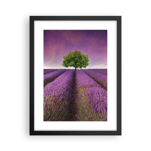 Plakat w czarnej ramie - Na lawendowych polach - 30x40 cm