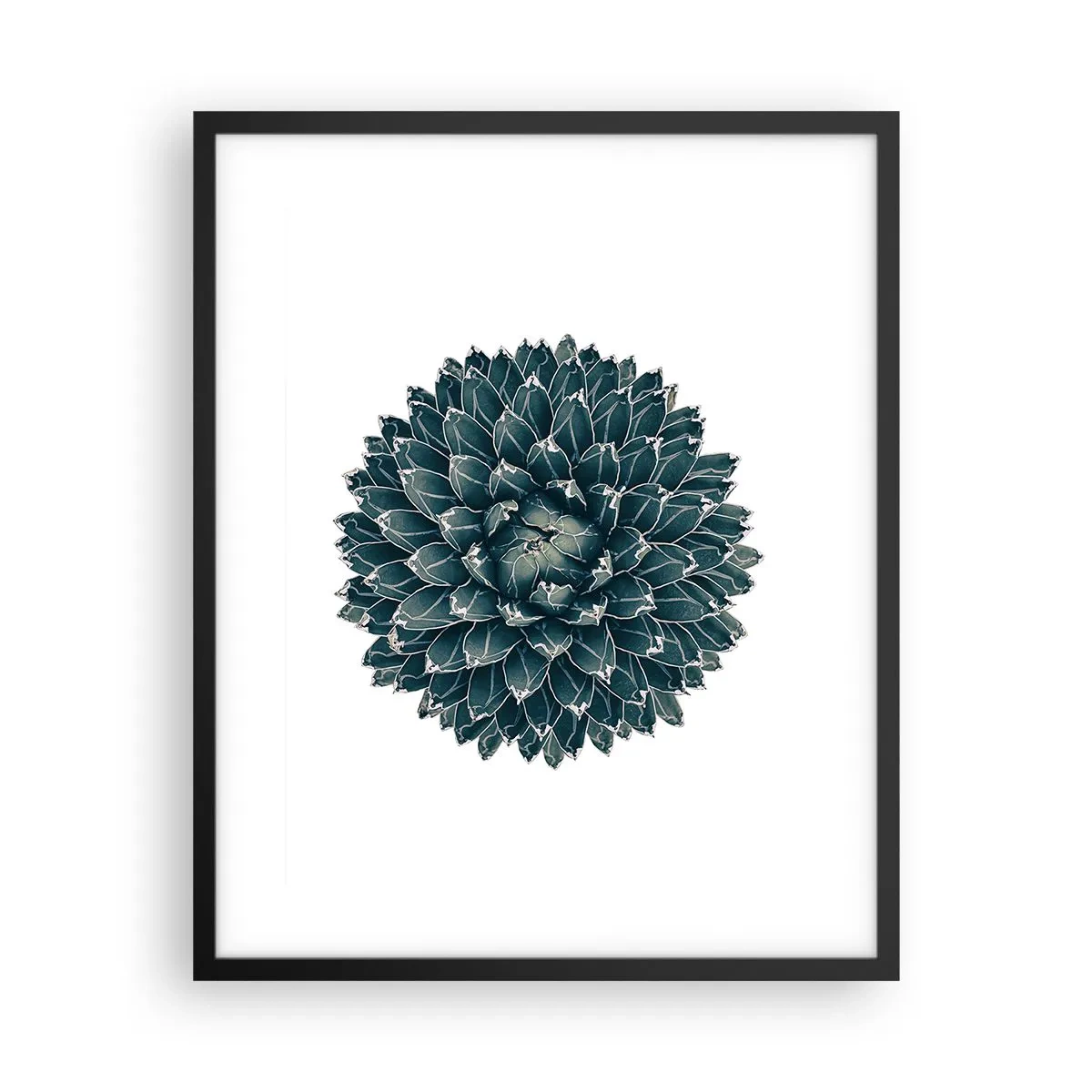 Plakat w czarnej ramie - Gwiazda pustyni - 40x50 cm