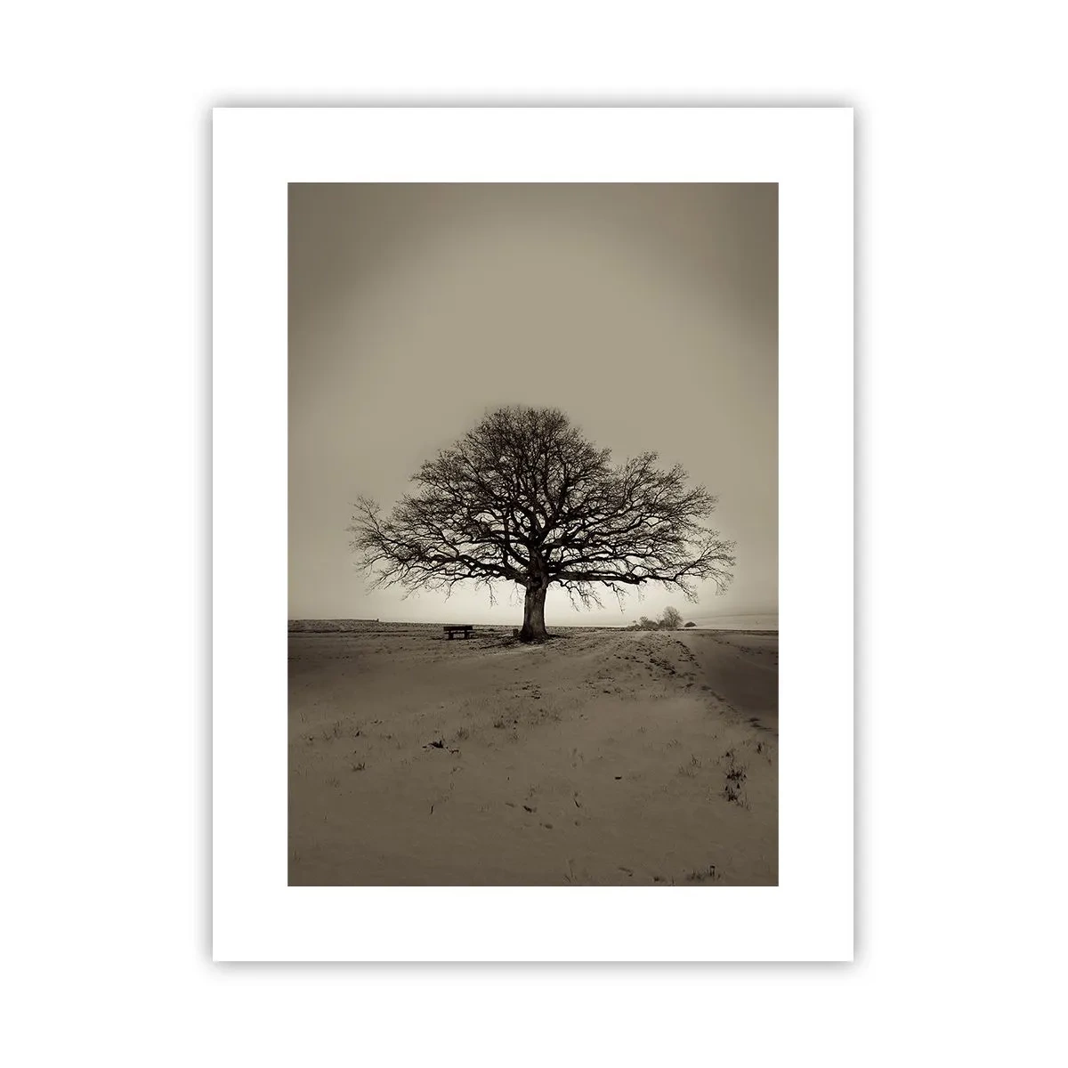 Plakat - Stąd do wieczności - 30x40 cm