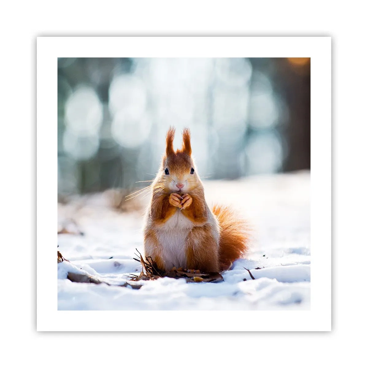 Plakat - I co tak patrzysz? - 50x50 cm