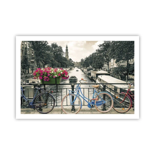 Plakat - Kolory amsterdamskiej ulicy - 91x61 cm