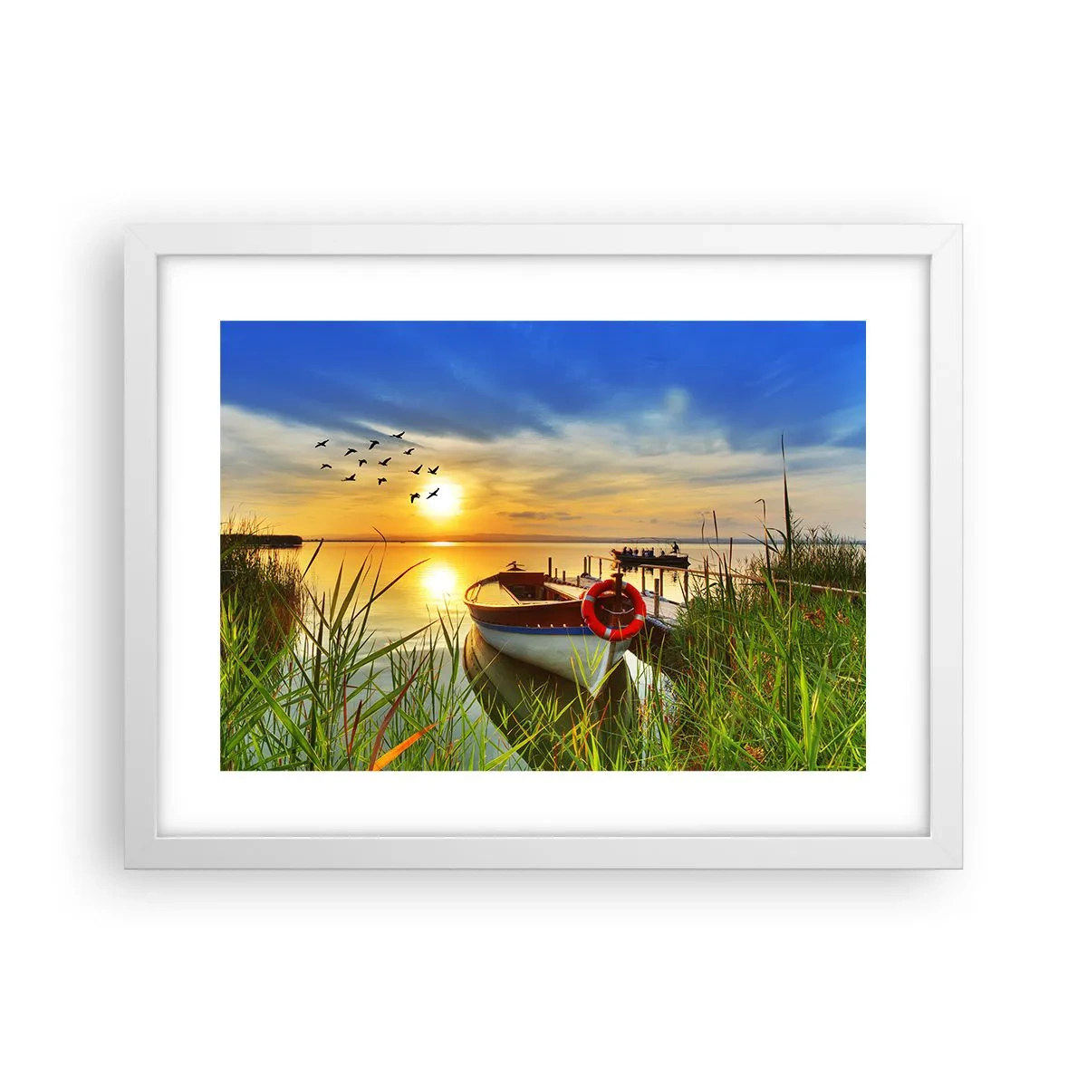 Plakat w białej ramie - Kormorany odlatują już - 40x30 cm