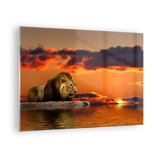 Obraz na szkle - Lew na tle zachodzącego słońca - 70x50cm - Król natury - Nowoczesna dekoracja ścienna do salonu i sypialni ARTTOR