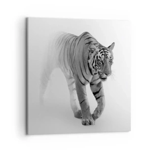 Obraz na płótnie - Przyczajony we mgle - 50x50 cm