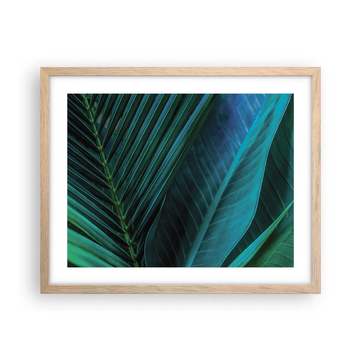 Plakat w ramie jasny dąb - Anatomia zieleni - 50x40 cm