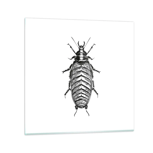 Obraz na szkle - Co za okaz! - 70x70 cm