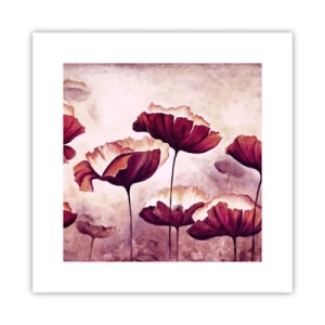 Plakat - Płatek czerwony i biały - 30x30 cm