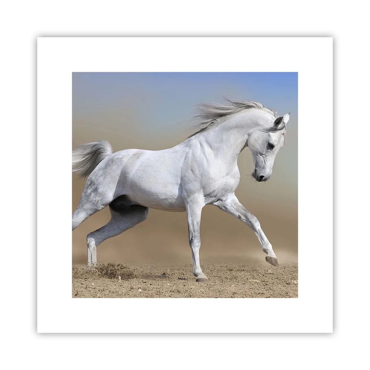 Plakat - Najpiękniejsza arabska baśń - 30x30 cm