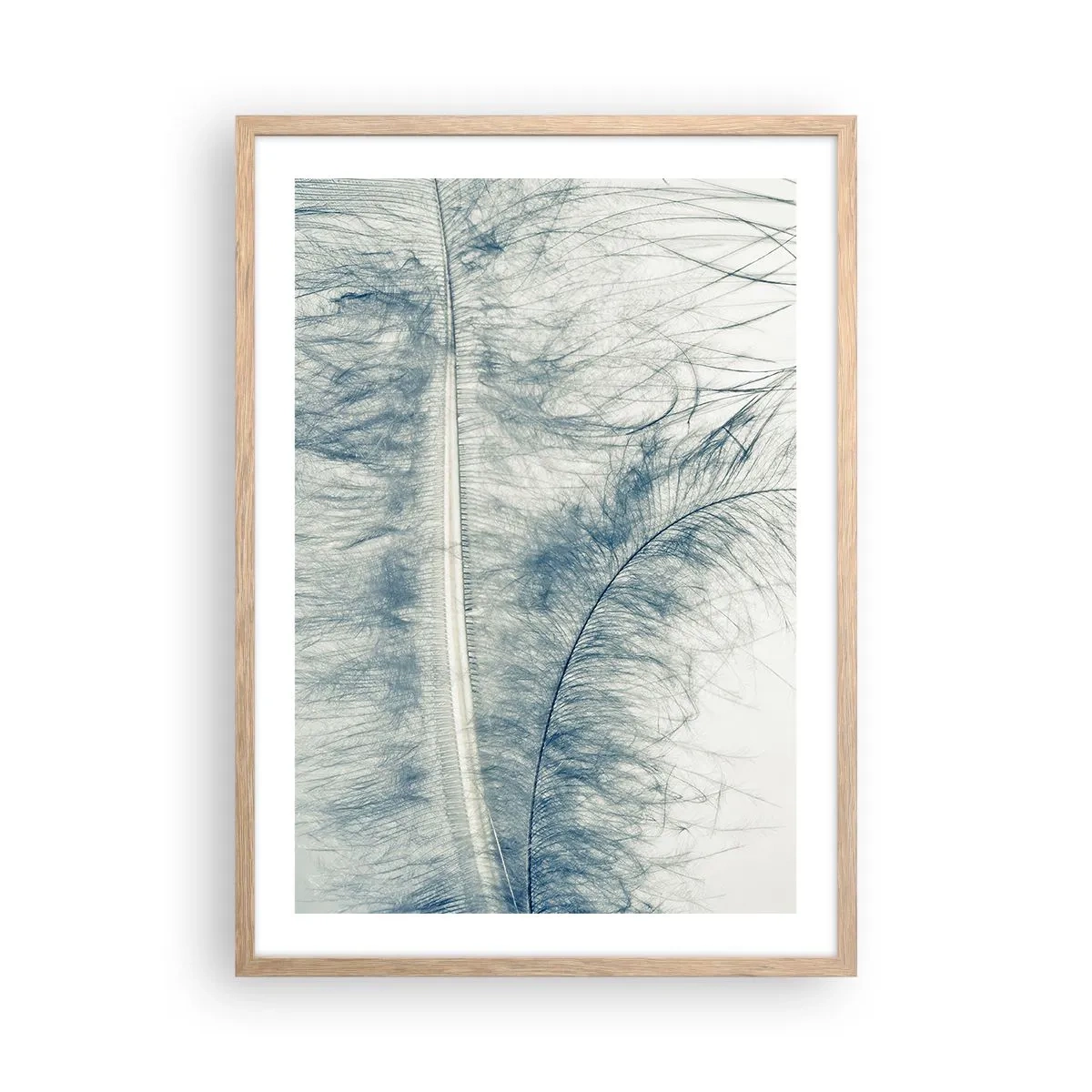 Plakat w ramie jasny dąb - Szept natury - 50x70 cm