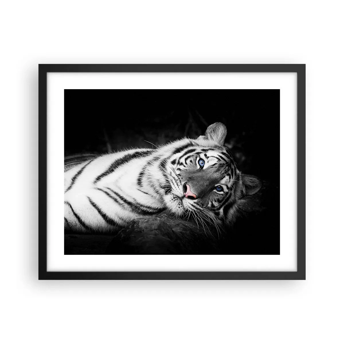 Plakat w czarnej ramie - Dzikość i spokój - 50x40 cm