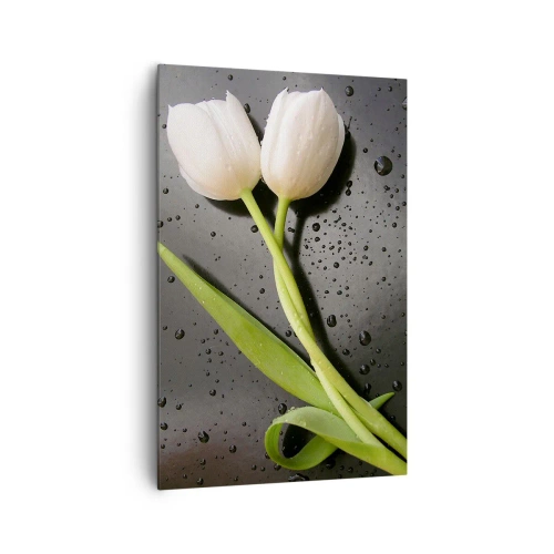 Obraz na płótnie - Białe tulipany na tle czarnym z kroplami wody - 80x120cm - Wiosenny splot - Nowoczesna dekoracja ścienna do salonu i sypialni ARTTOR
