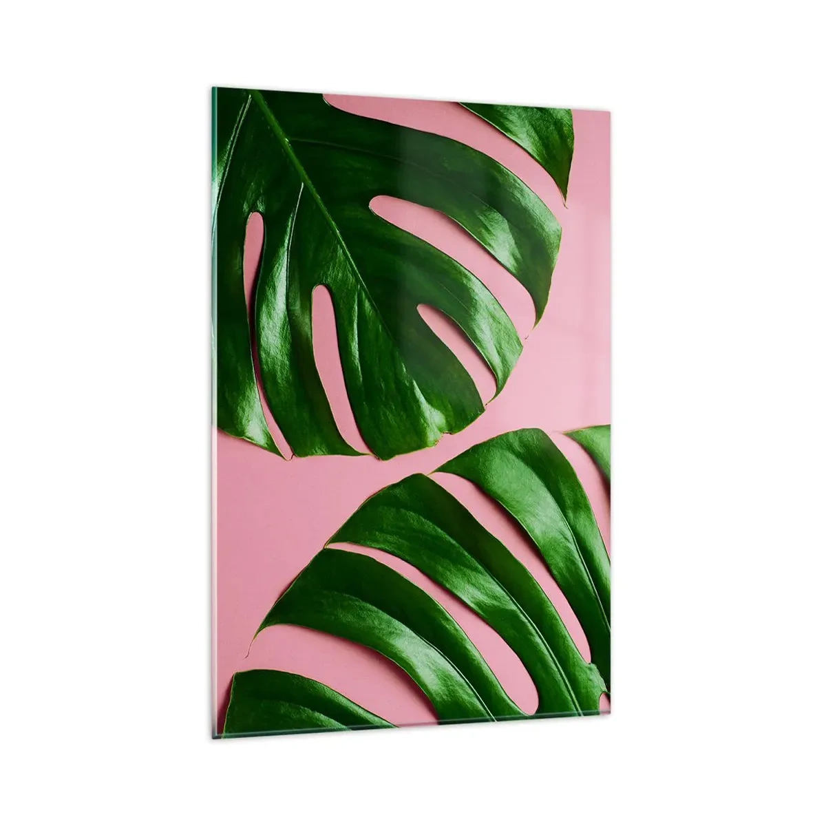 Obraz na szkle - Zielone liście monstery na różowym tle - 80x120cm - Zielone rendez-vous - Nowoczesna dekoracja ścienna do salonu i sypialni ARTTOR