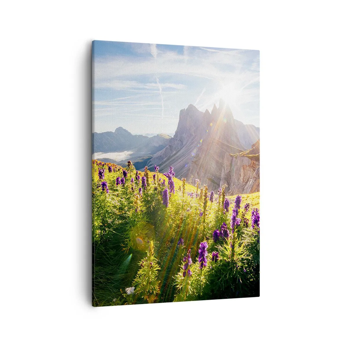 Obraz na płótnie - Górski krajobraz z fioletowymi kwiatami o wschodzie słońca - 50x70cm - Sekretne życie ziół - Nowoczesna dekoracja ścienna do salonu, kuchni i sypialni ARTTOR