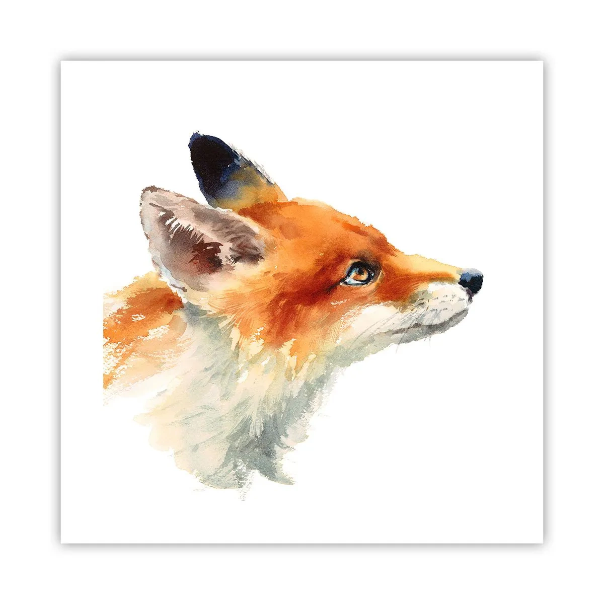 Plakat - Ostrożności nigdy za wiele - 40x40 cm