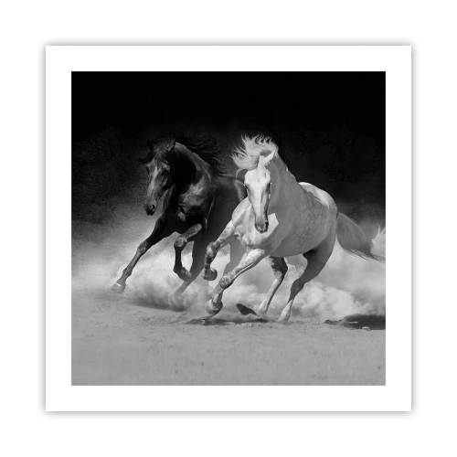 Plakat - Galop wolności - 50x50 cm
