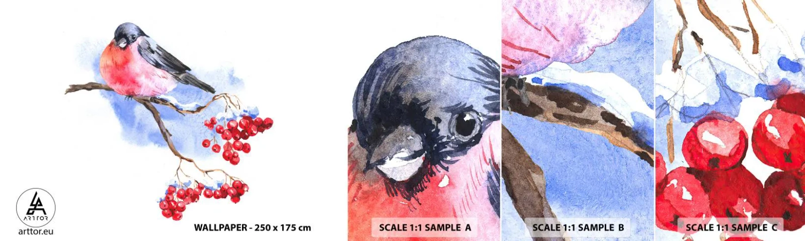 Fototapeta Próbka Samoprzylepna Deluxe Sticker - Zima w kolorze - Ptak Na Gałęzi, Czerwona Jarzębina, Grafika - 100x30 cm